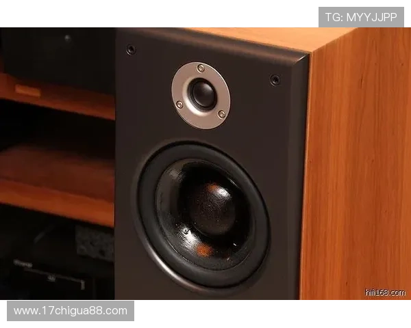 欧博a1购买指南详解购买流程及售后服务保障事项